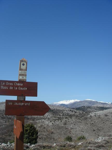 f0194446_1231358.jpg