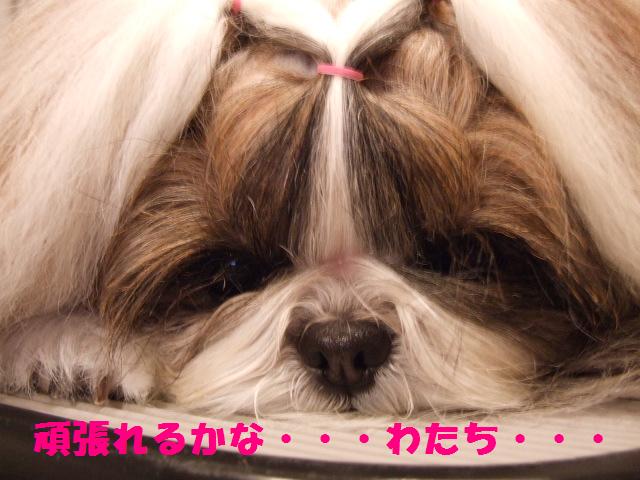a0091448_2103761.jpg