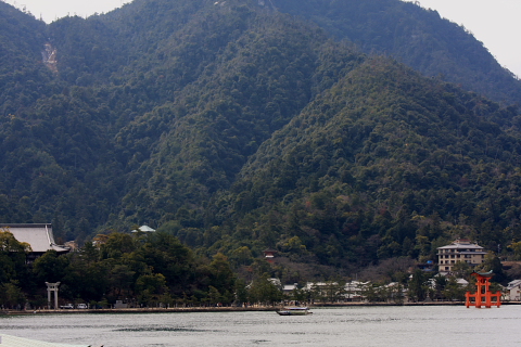a0024250_2239017.jpg