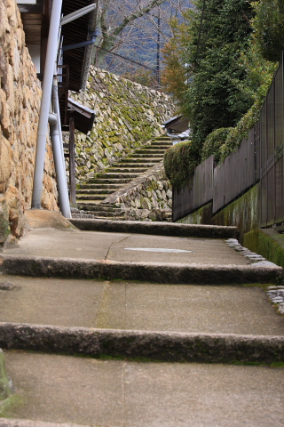 a0024250_2334245.jpg