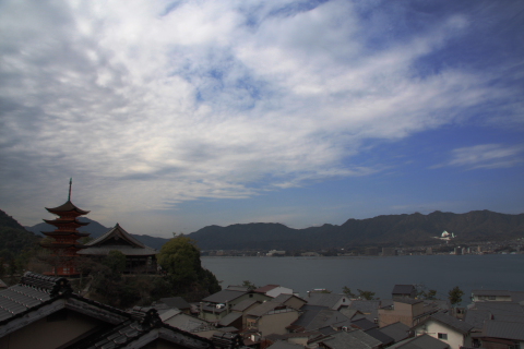 a0024250_233916.jpg
