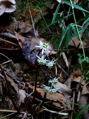 d0091754_23425622.jpg