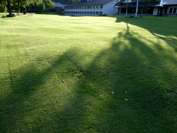 e0122855_22484057.jpg