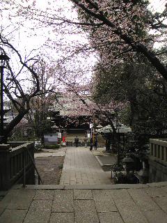 c0123156_9591710.jpg