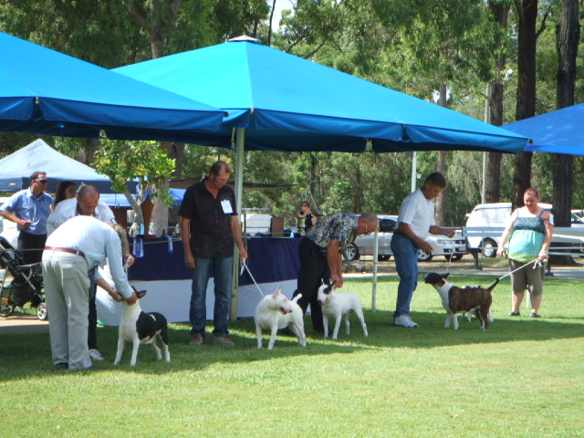 e0171460_20473884.jpg