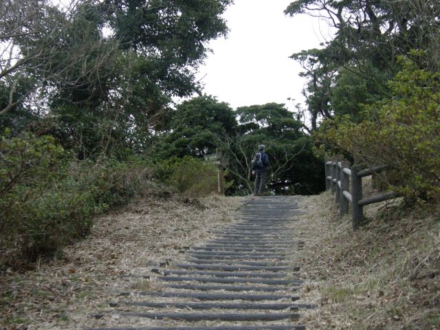 c0042869_20262154.jpg