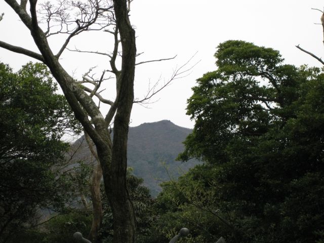 c0042869_20314740.jpg