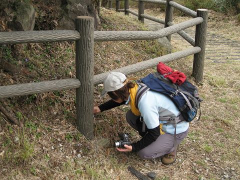 c0042869_20321547.jpg