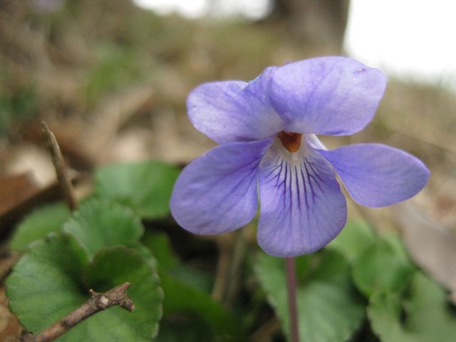 c0042869_2033049.jpg