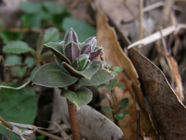 c0042869_20331953.jpg