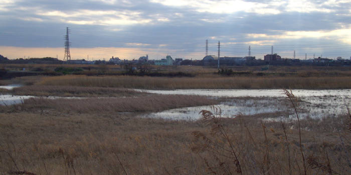 e0015377_1846026.jpg