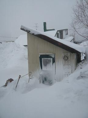 c0175679_8384369.jpg