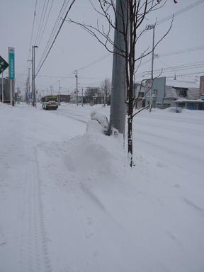 c0175679_8393631.jpg