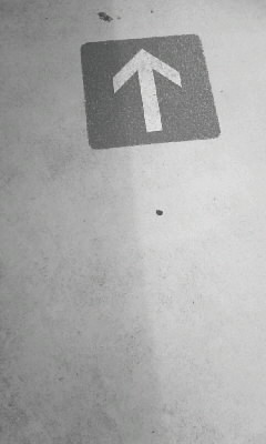 f0100480_15373314.jpg