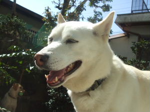 f0005081_22523517.jpg
