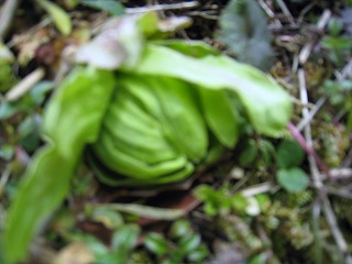 a0034382_22392178.jpg