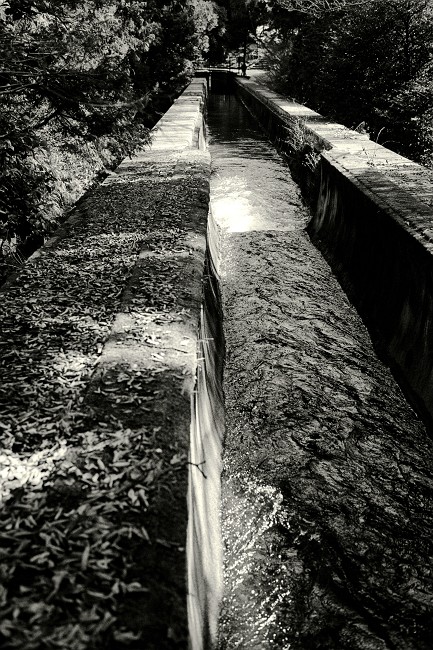 f0167482_17134626.jpg