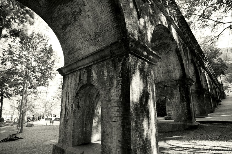 f0167482_1717352.jpg