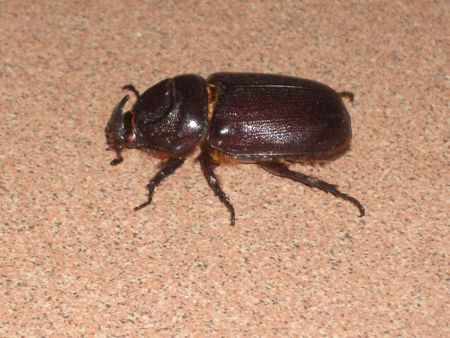 c0175883_2182282.jpg