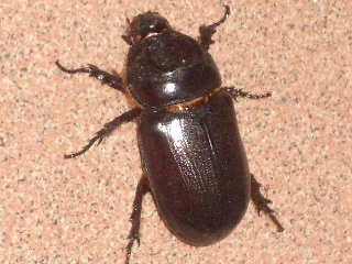 c0175883_2224950.jpg