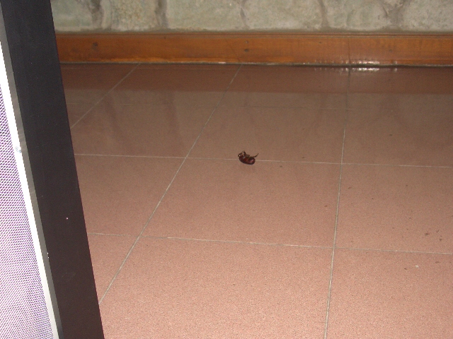 c0175883_245679.jpg