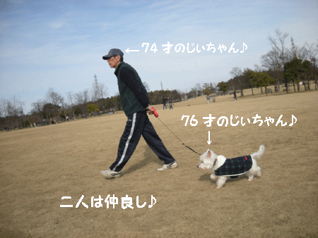 e0066883_22421841.gif