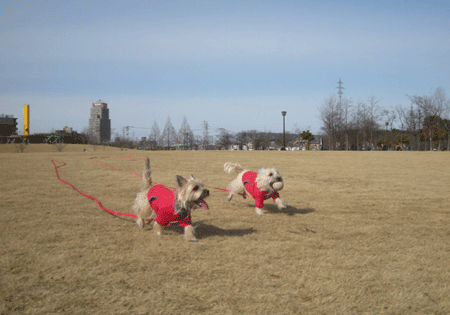 e0066883_22455484.gif