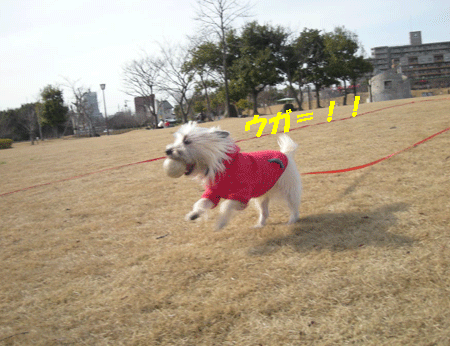 e0066883_22461022.gif
