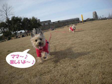 e0066883_22463439.gif