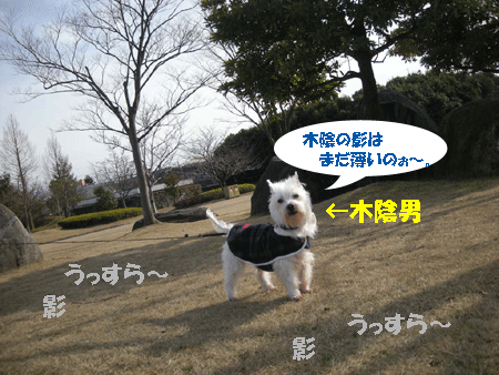 e0066883_22493446.gif