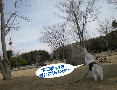 e0066883_2335368.gif
