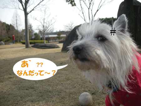 e0066883_2341415.gif
