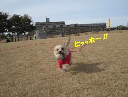 e0066883_2395554.gif