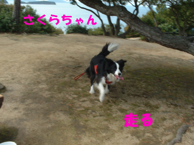 c0120585_22294994.jpg