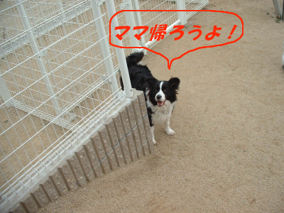 c0120585_22333910.jpg