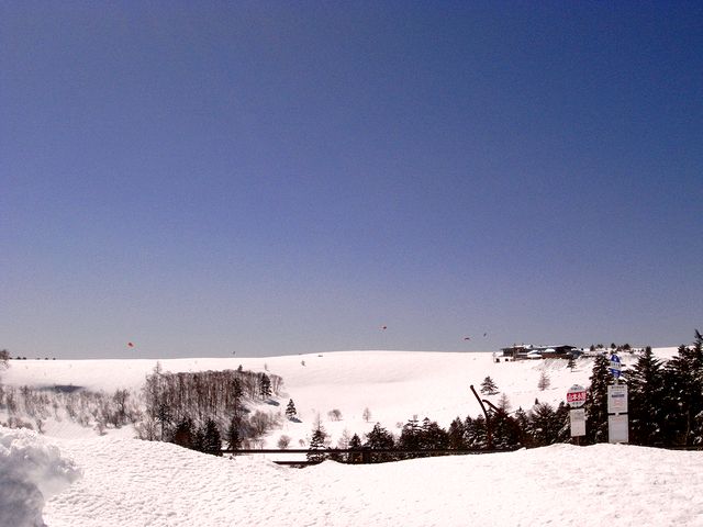 a0093592_13582449.jpg