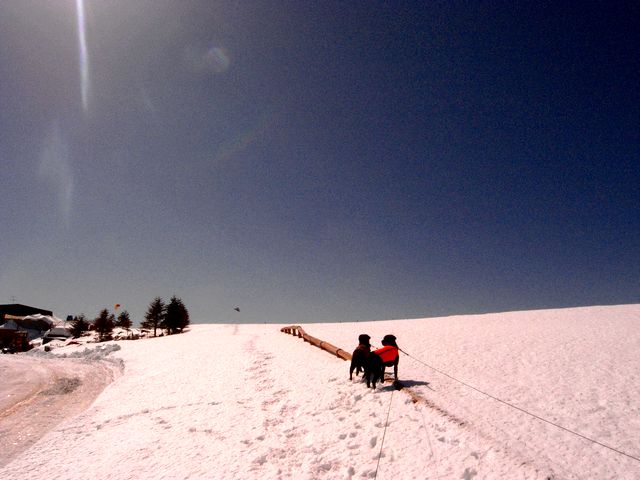 a0093592_14154333.jpg
