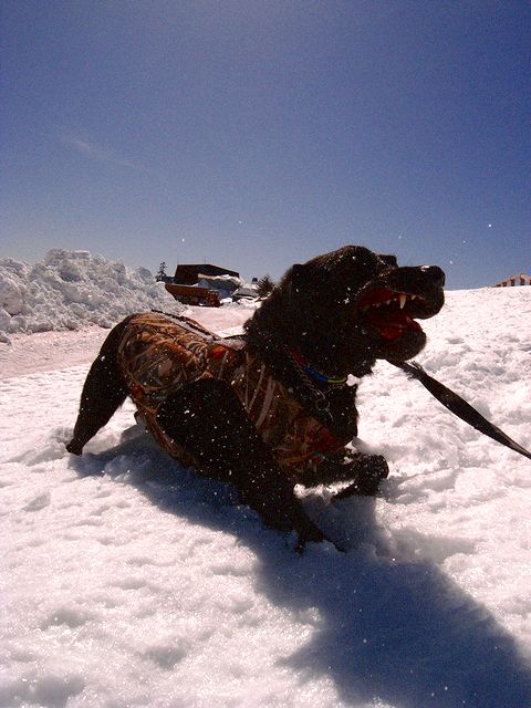 a0093592_1475928.jpg