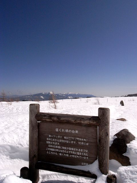 a0093592_15104210.jpg
