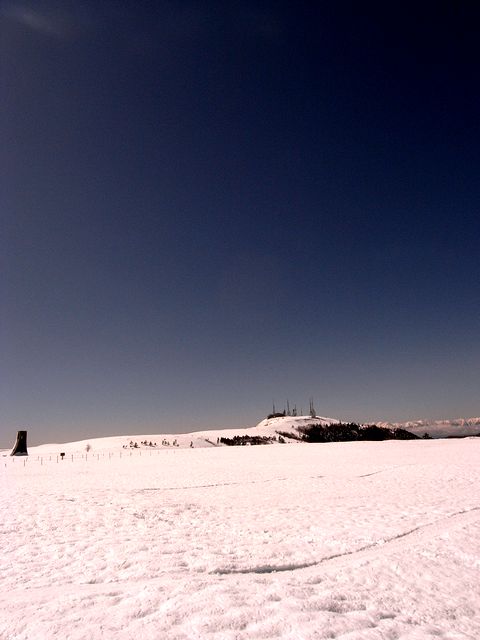 a0093592_15115627.jpg