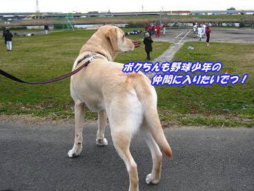 c0028792_2317515.jpg