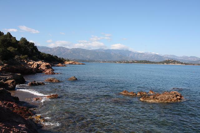 f0044892_2111616.jpg