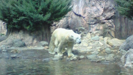 c0182293_2113234.jpg