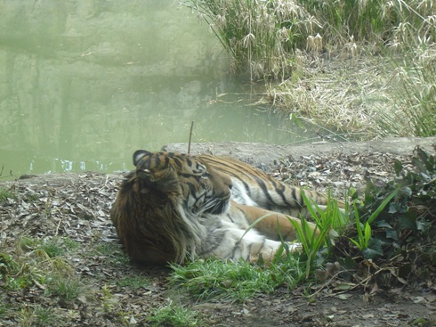 c0182293_2125867.jpg
