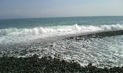 b0029694_915968.jpg