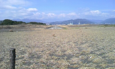 b0029694_916466.jpg