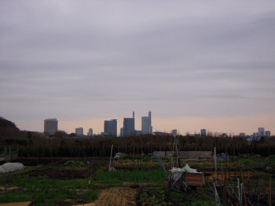 e0120294_23374293.jpg