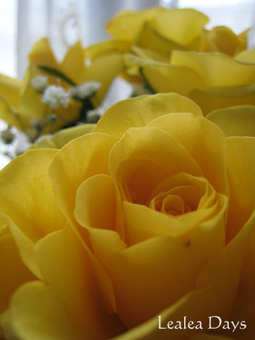 b0000801_20343287.jpg