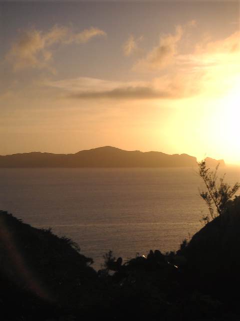 d0126201_1171622.jpg