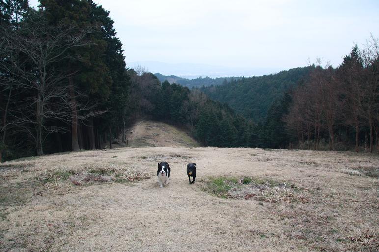 f0034602_2051135.jpg